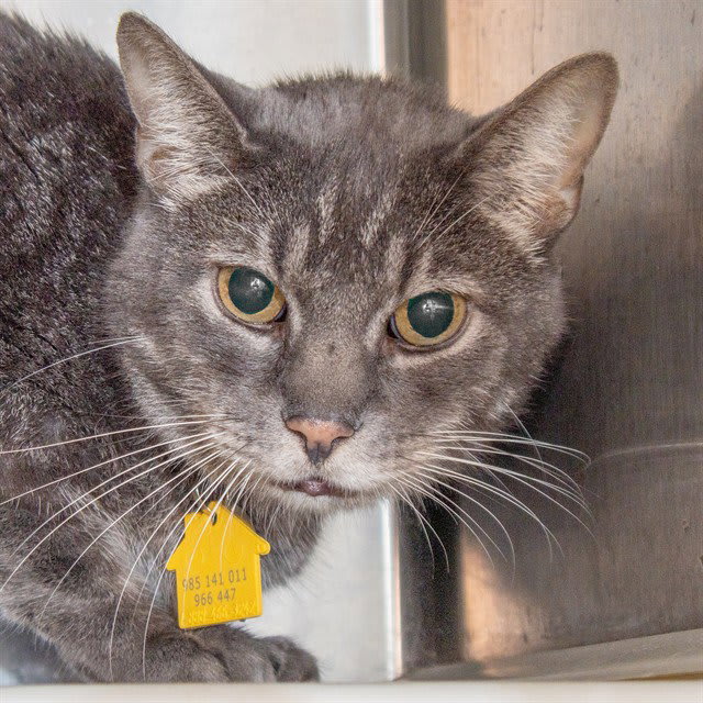 Photo of ALLEY