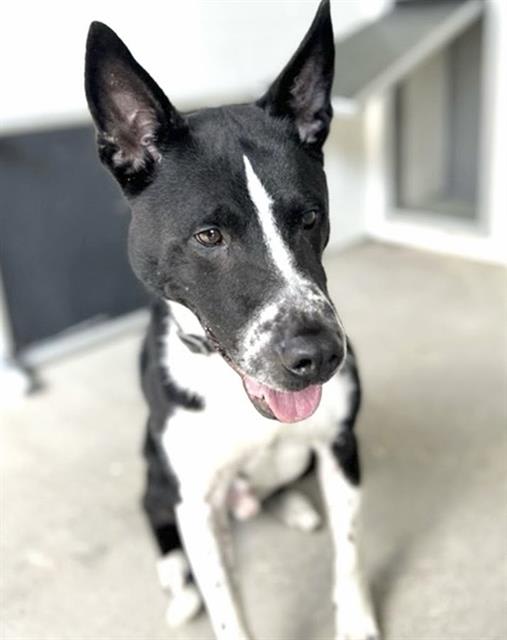 Photo of MAX
