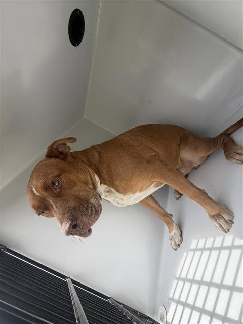 Photo of ZEUS