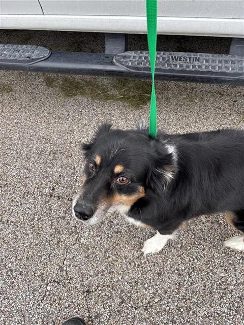 Photo of SALLY