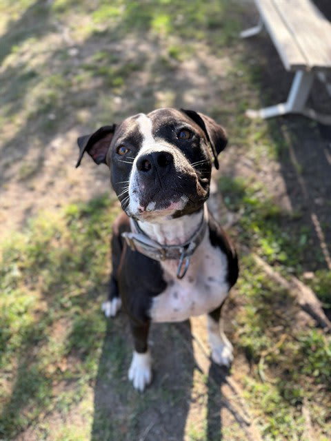 Photo of SPOT