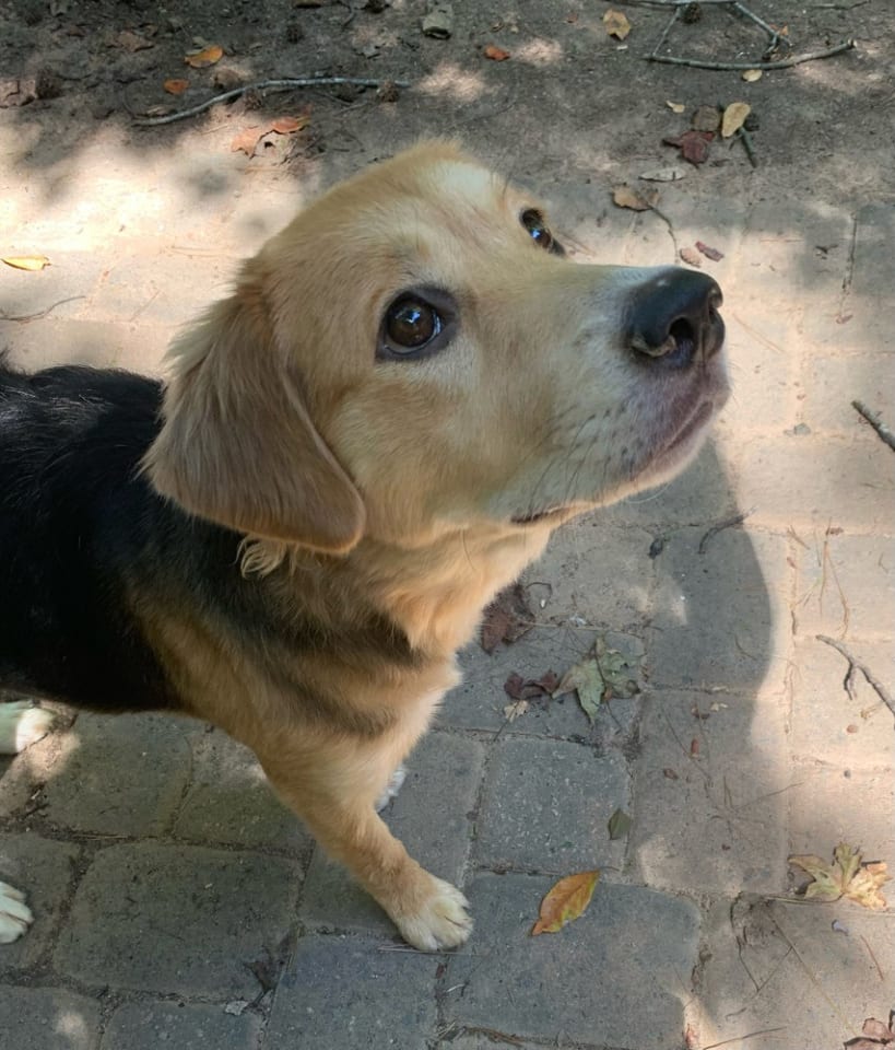 Photo of Sandy