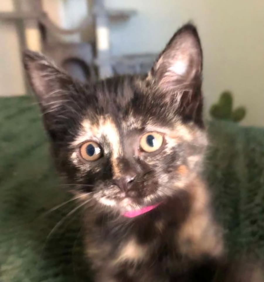 Photo of Hope