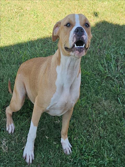 Photo of COOPER