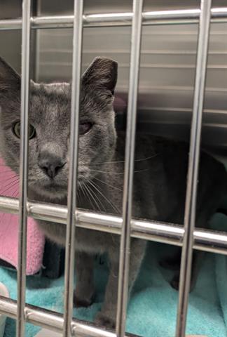 Photo of SMOKEY