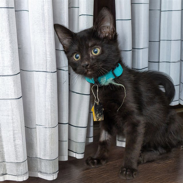 Photo of PEET