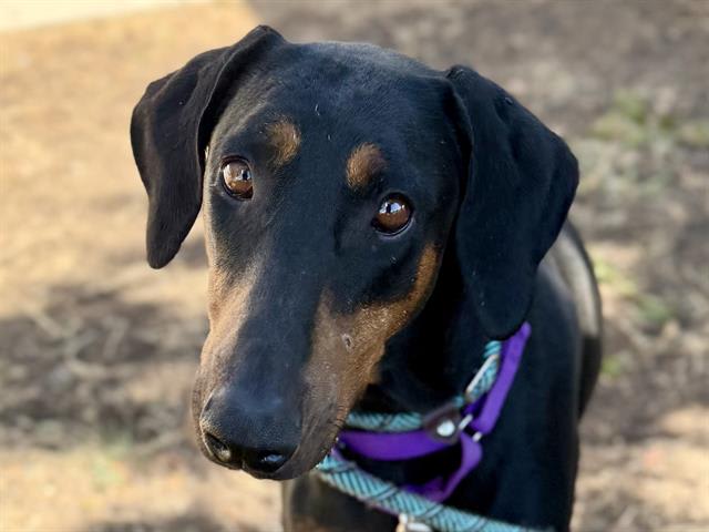 Photo of DORIS