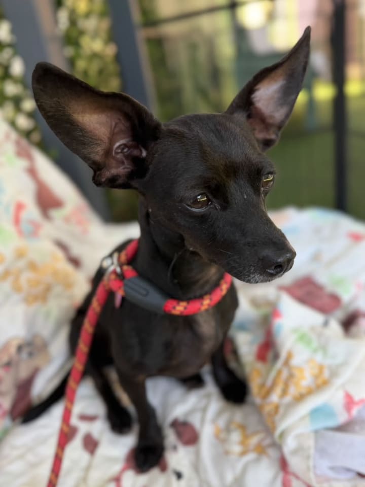 Photo of MINNIE