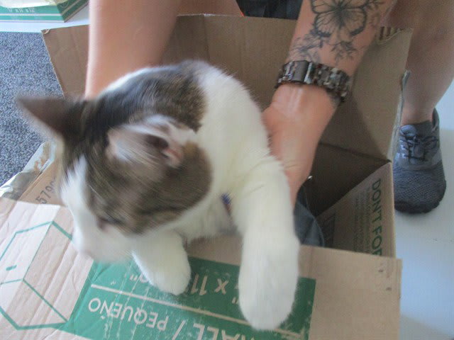 Photo of CHI