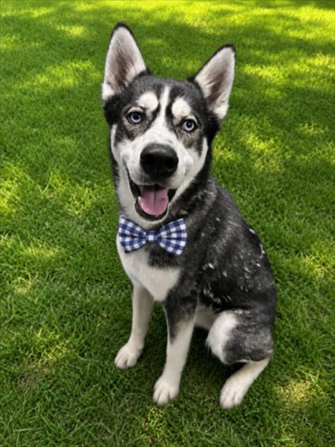 Photo of RANGER