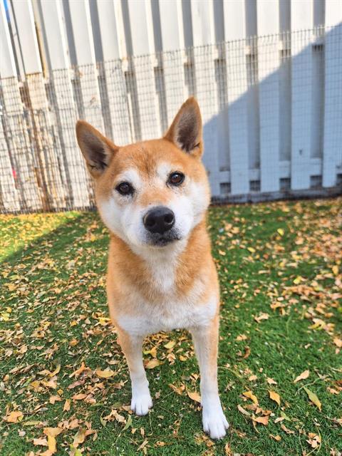 Photo of ZUKI