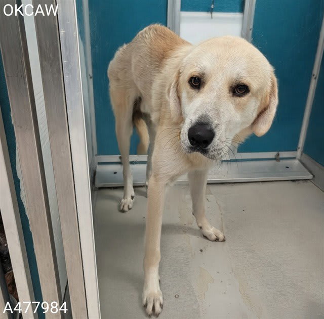 Photo of ROMEO