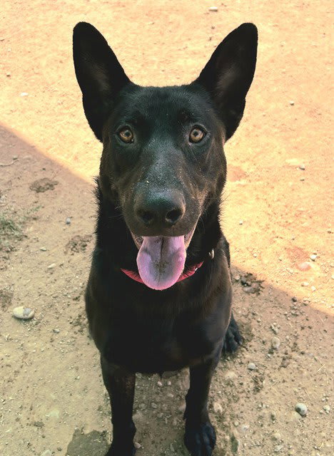 Photo of ERNIE