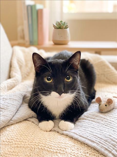 Photo of PEXIE