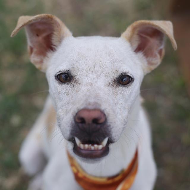 Photo of REBEL