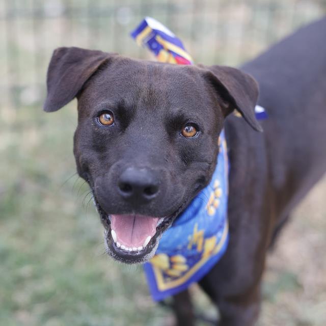 Photo of DUKE
