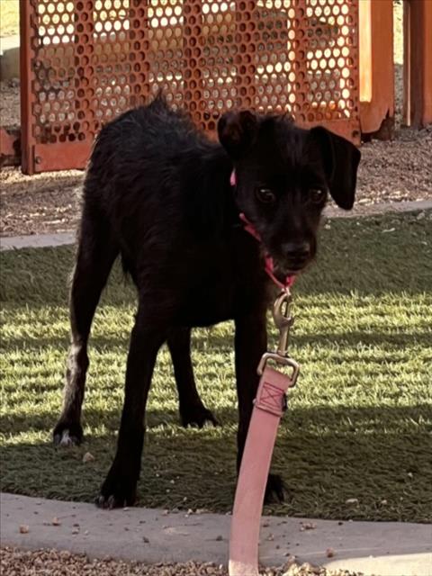 Photo of LUNA