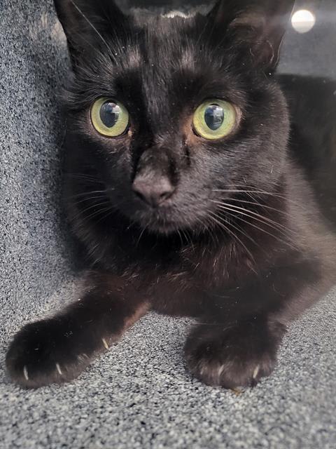 Photo of MARA