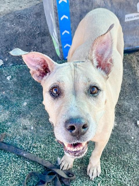 Photo of HONEY