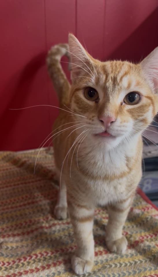 Photo of Oatmeal
