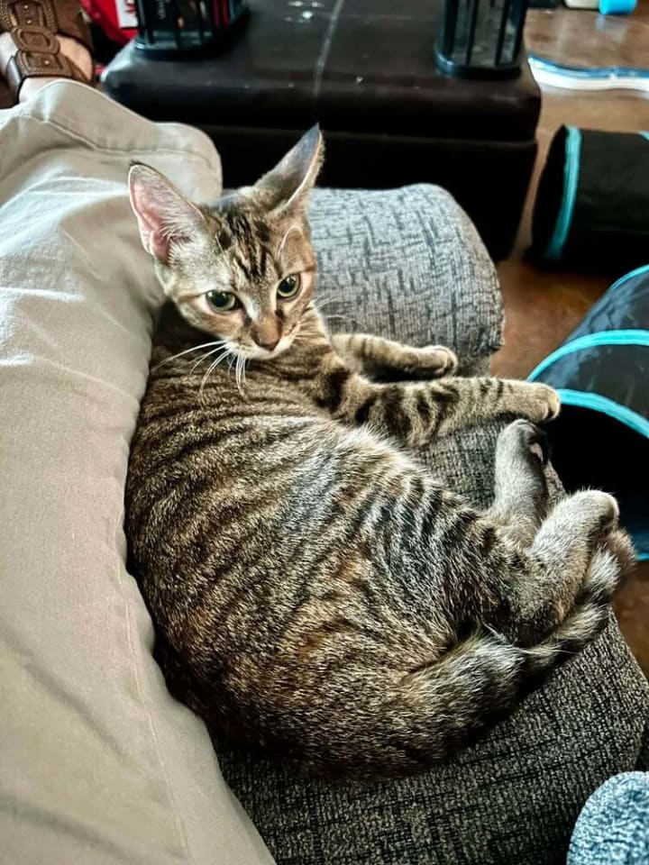 Photo of Maimie