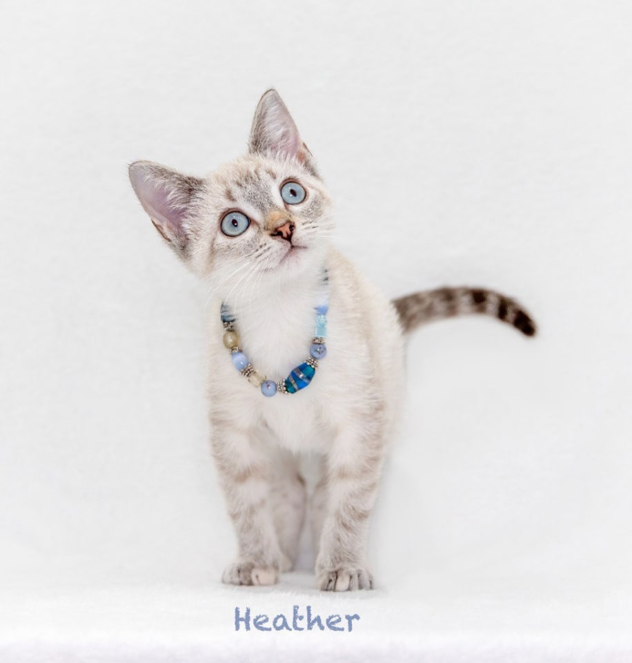 Photo of Heather