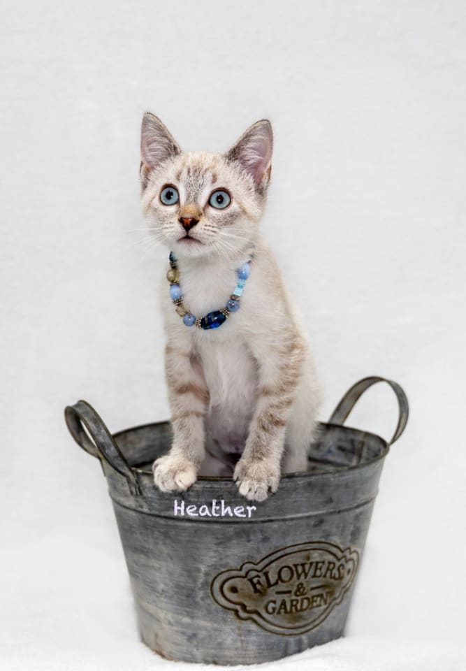 Photo of Heather