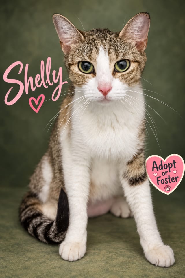 Photo of Shelly