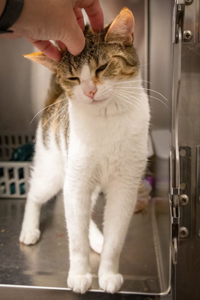 Photo of Madison