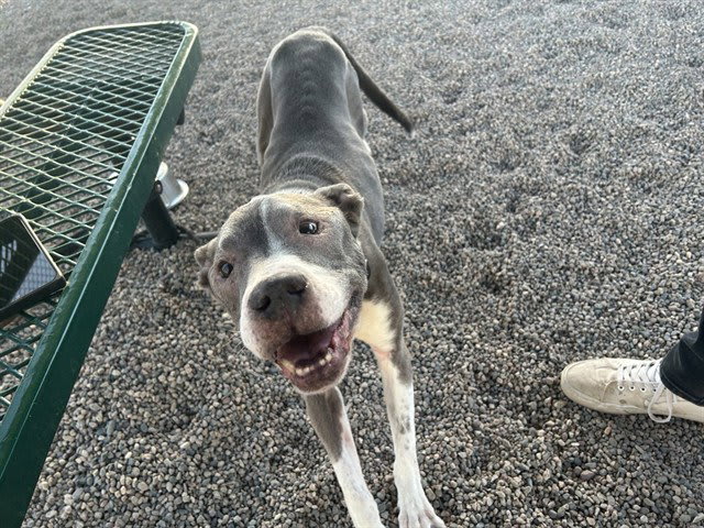 Photo of TYSON