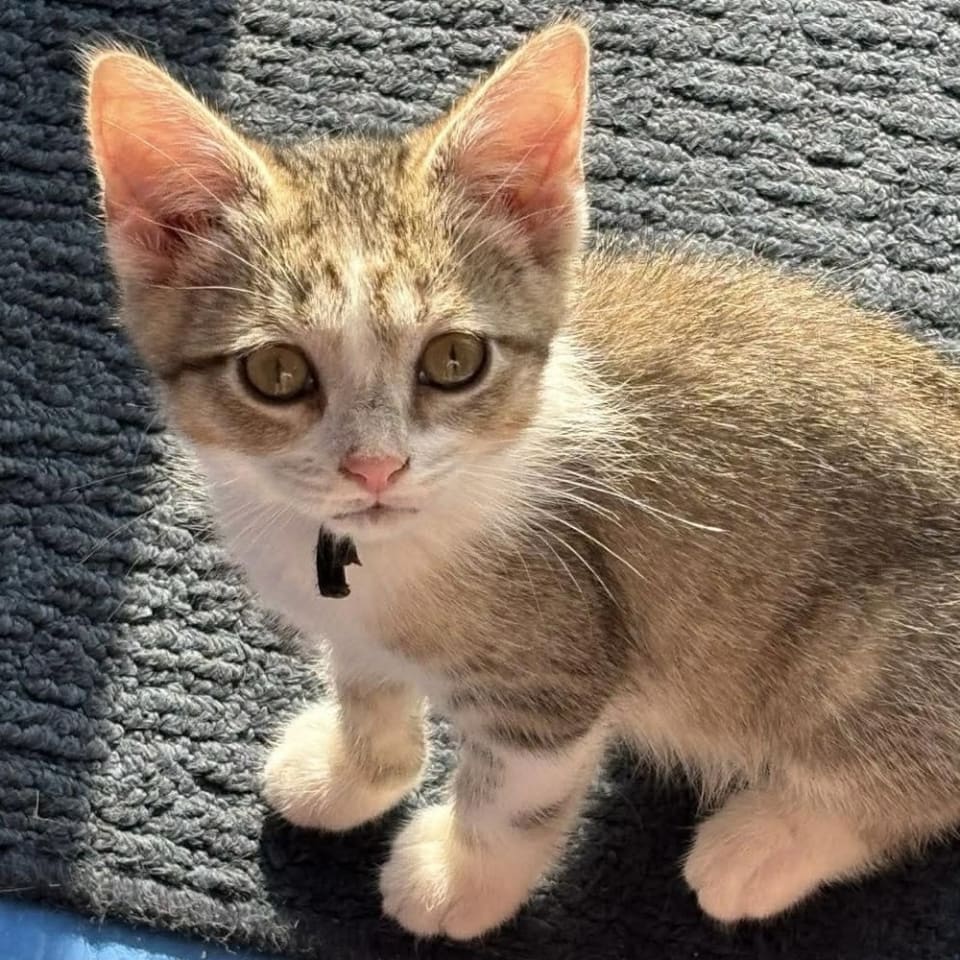 Photo of Sheena
