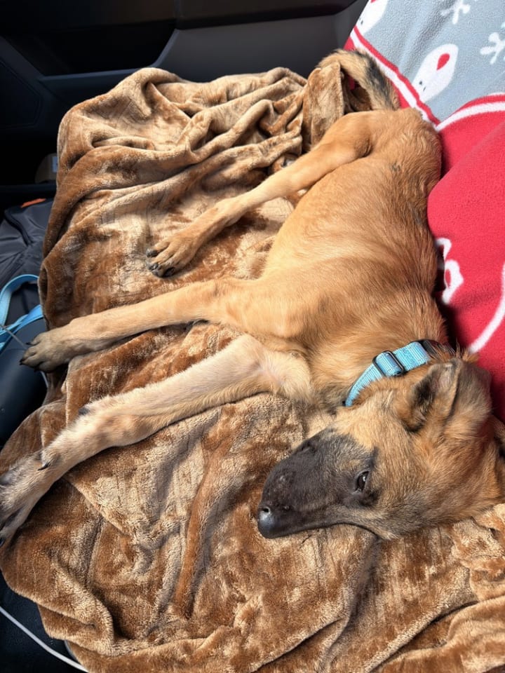 Photo of Crouton - Located in North Carolina