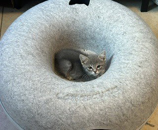 Photo of Lexie