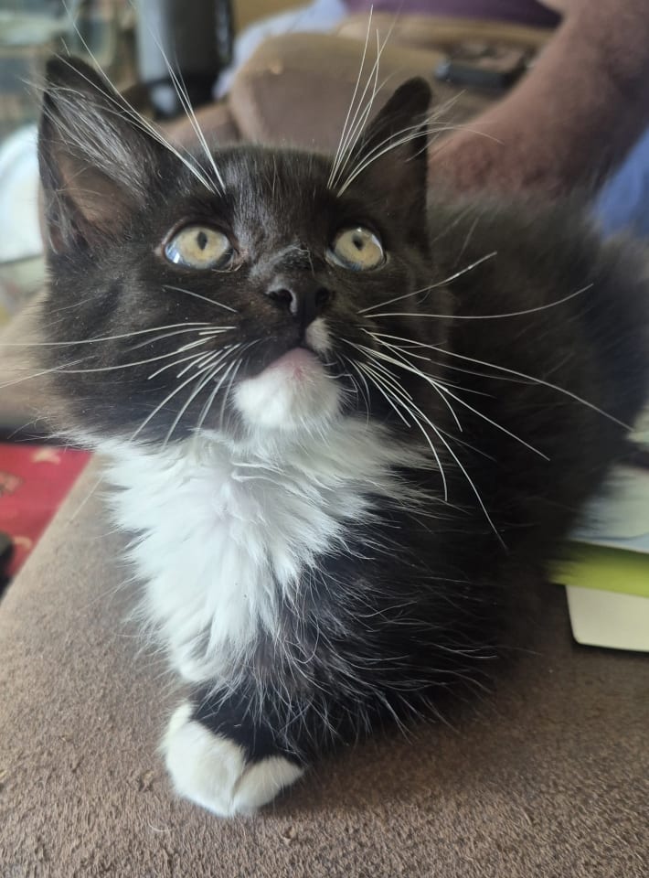 Photo of Stormy