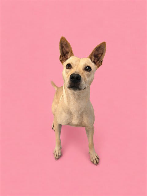 Photo of BESSY