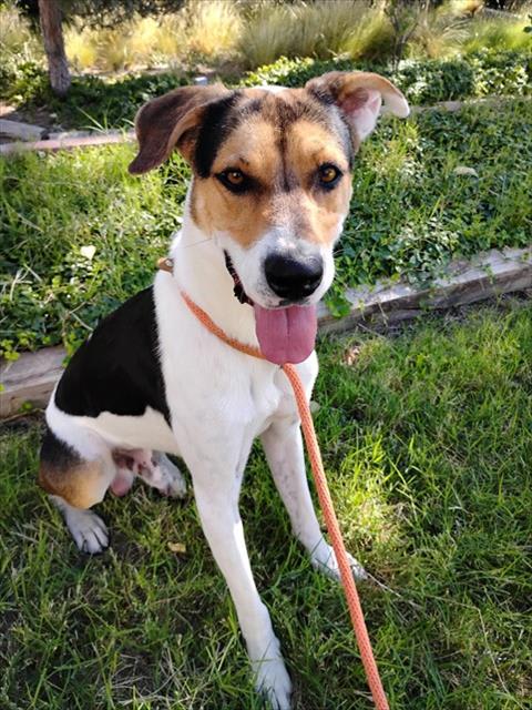 Photo of BANDIT