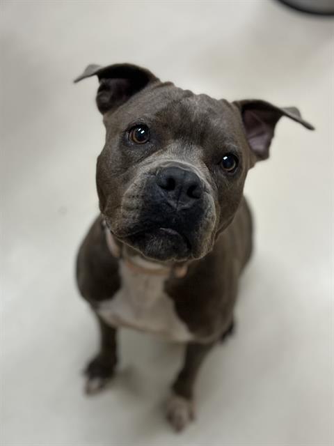 Photo of DAISY