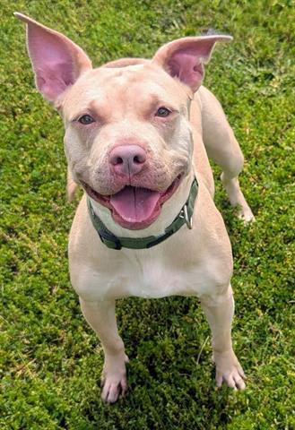 Photo of JAZZ