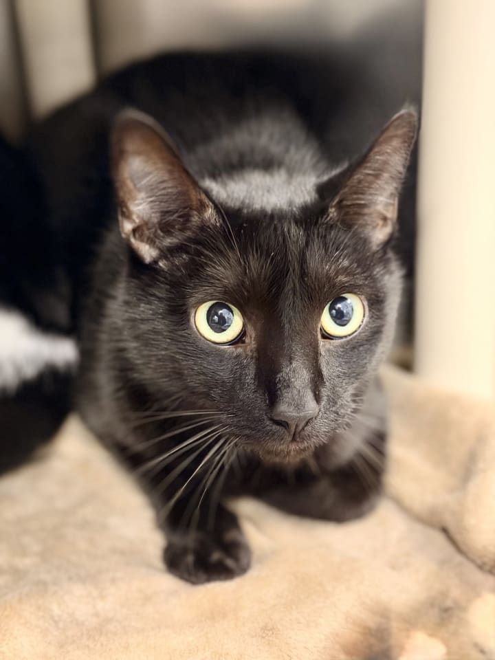 Photo of Finn