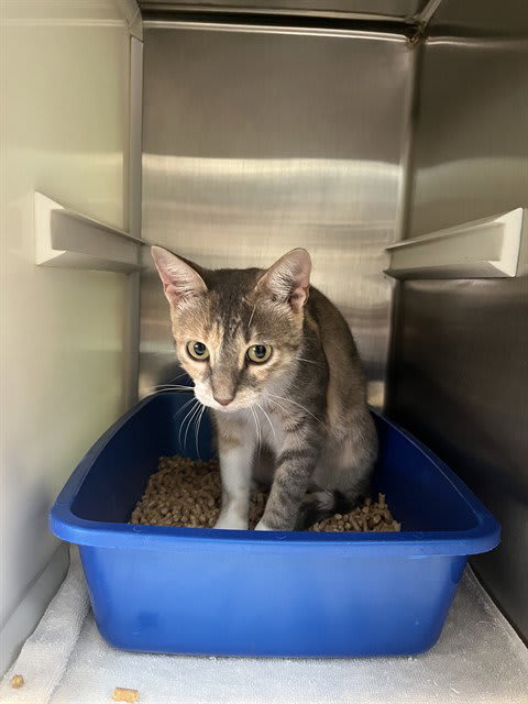 Photo of OAKLEY