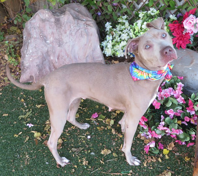 Photo of TWINKIE