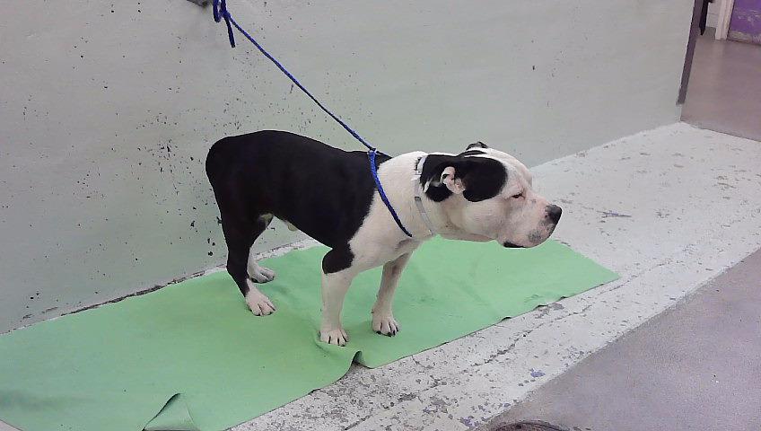 Photo of KING JOESEPH