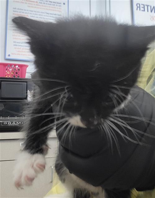 Photo of EDMUND