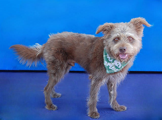 Photo of ARNOLD-FOZZY