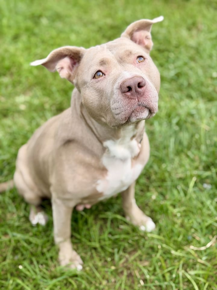Photo of Diamond