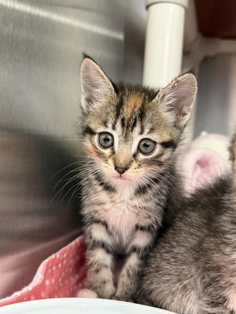 Photo of TUNA