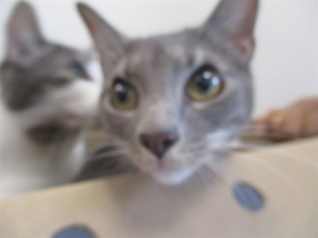 Photo of JILL