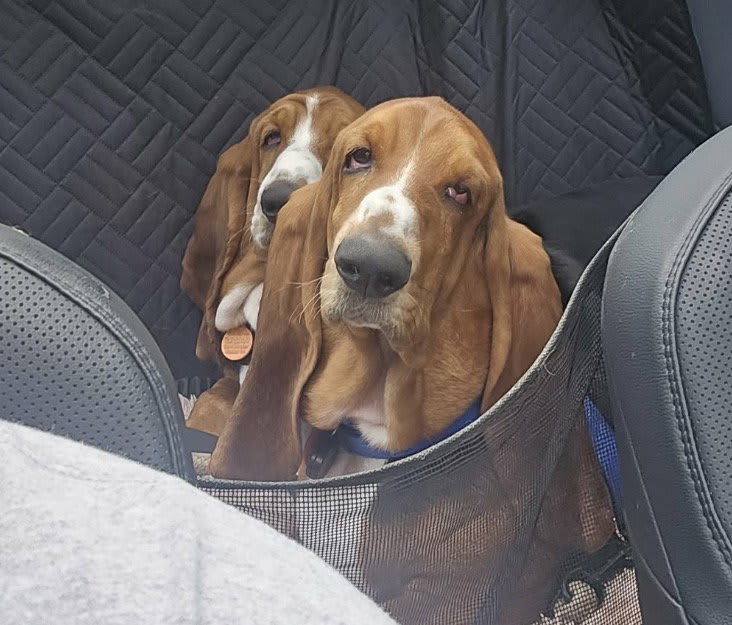 Photo of Maggie and Willow