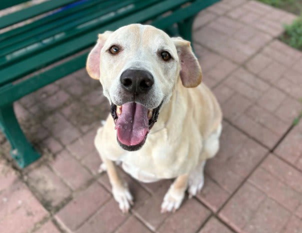 Photo of COOPER
