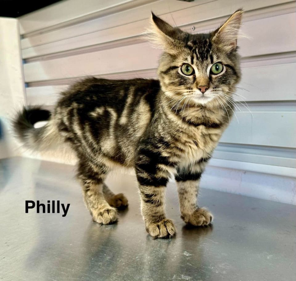 Photo of Philly